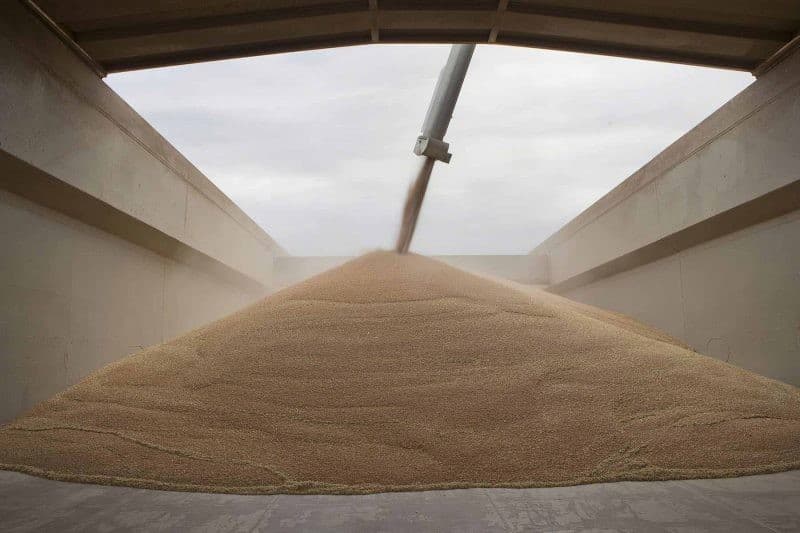 loading-supervision loading-supervision